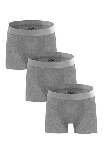 Erkek 3'lü Likralı Gri Boxer - Premium Ambalajlı Paketinde