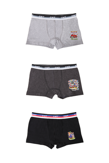 Erkek Çocuk 3'lü Baskılı Pamuklu Boxer - Özel Premium Paketinde