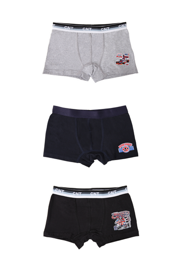 Erkek Çocuk 3'lü Baskılı Pamuklu Boxer - Özel Premium Paketinde