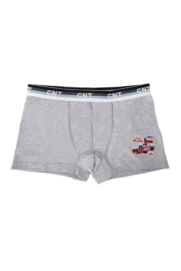 Erkek Çocuk Tekli Baskılı Pamuklu Boxer - Özel Premium Paketinde