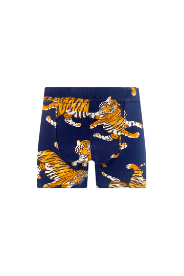 Erkek Çocuk Tekli Tiger Desenli Boxer - Özel Premium Paketinde